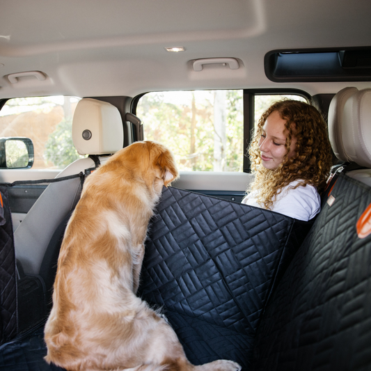 PawRide - Skyddar bilen, Gläder hunden