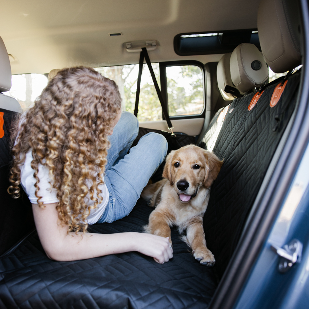 PawRide - Skyddar bilen, Gläder hunden