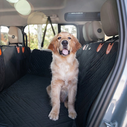 PawRide - Skyddar bilen, Gläder hunden